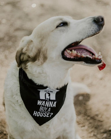 Dog Bandana - Wanna Buy a House?™