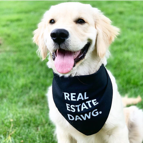 Dog Bandana - Real Estate Dawg. (Black)